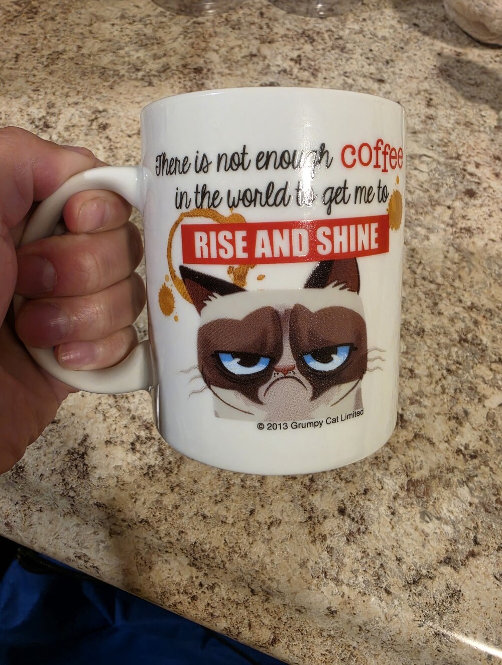 Grumpy Cat Bundle - Picture 2 of 6